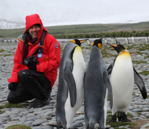 Chilling in the Colony - South Georgia Island