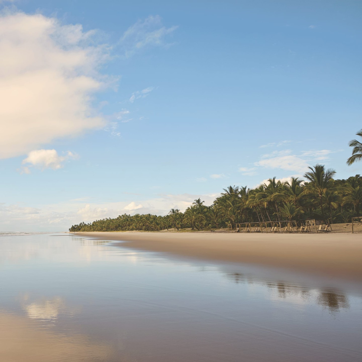In Bahia’s Itacaré, conservation and travel go hand in hand. Stay near the Atlantic Forest, or Mata Atlântica, the home to some of Brazil’s rarest species, and support one of the world’s most endangered ecosystems. 🌎🌿
Connect to learn how your next trip can make a difference, in Brazil and beyond:
(800) 526-1412
vacations@worldtravelservice.com
📷: Luis GarcÍa
#VirtuosoTravel #SoVirtuoso