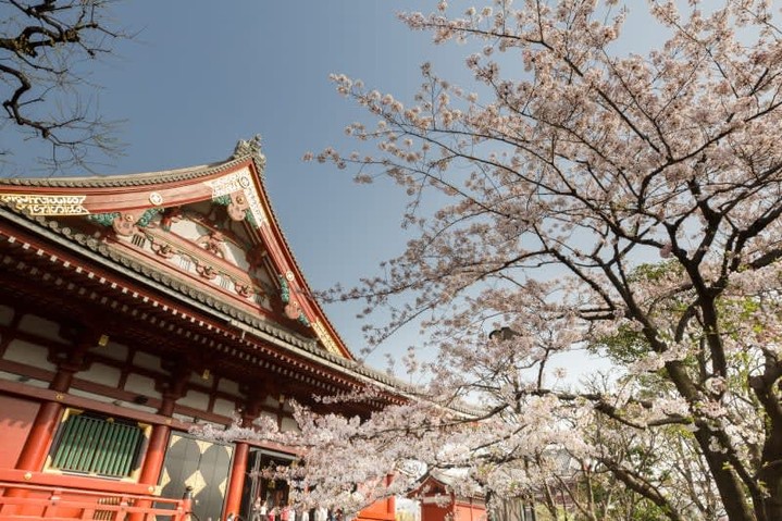 🌏 Discover the enchanting wonders of Asia with Celebrity Cruises. Sail to iconic destinations like Thailand’s ancient temples, Vietnam’s breathtaking Halong Bay, and Japan’s dynamic cities. Every port is a journey through history, culture, and natural beauty.
Contact me for more information on itineraries!
WorldTravelService
(800) 526-1412
vacations@worldtravelservice.com
https://virtuoso.com/Advisor/travadvo62679