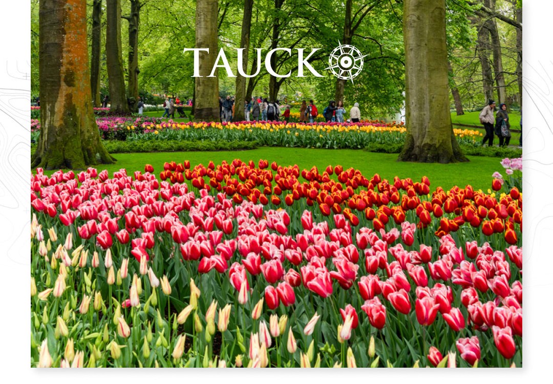 From timeless treasures to spring blossoms—explore Europe with exclusive air savings.
Book your Tauck European adventure by November 15, 2025, and unlock limited-time savings.
#worldtravelservice #travelagency #vacation #travel #taucktours #tauck #rivercruise