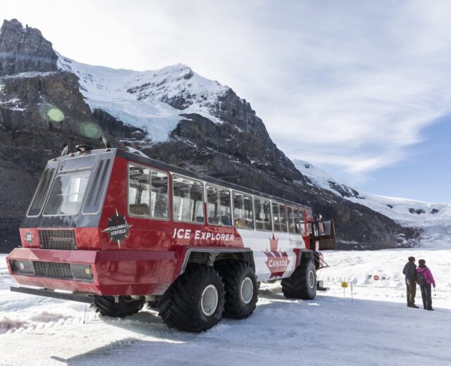 Make the most of your 2026 journey through the Canadian Rockies on Rocky Mountaineer! Traveling during the first months of the season (April and May), you’ll still witness snow-dusted mountains, but as the snow cap melts, you’ll also see rushing waterfalls, the first wildflowers blooming, and bears emerging from their hibernation.
Plan on spending extra time in these iconic destinations with Rocky Mountaineer’s add-on tours and activities, taking advantage of the quieter season and these majestic landscapes.
Contact me at (800) 526-1412vacations@worldtravelservice.com to start planning your spring trip to the Canadian Rockies!
#RockyMountaineer #SpringInTheRockies #TrainTravel #CanadianRockies #ShoulderSeasonTravel #LuxuryRail