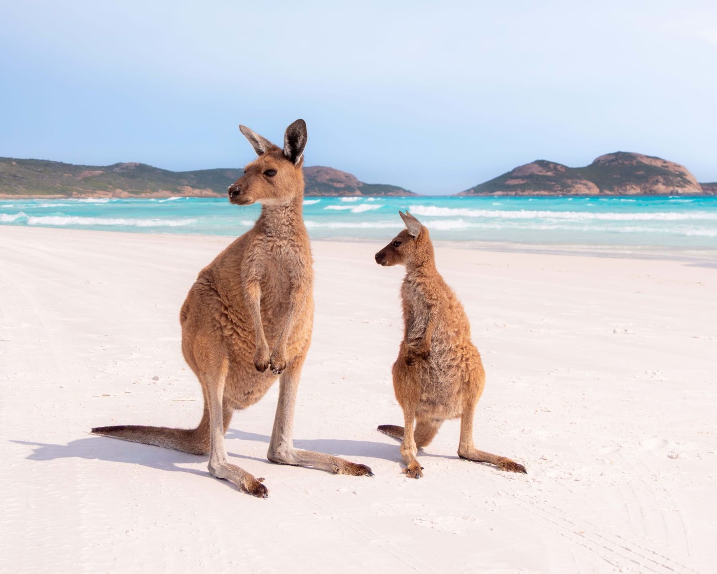 Some of Australia’s most memorable experiences don’t cost a thing - from spotting kangaroos in the wild to soaking up the sun on pristine beaches. So, what are you waiting for? Come and say g’day! 🦘 #seeaustralia @Australia
Image credit: Tourism Australia