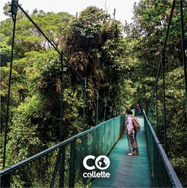 In Costa Rica, ecotourism is BIG. With conservation at its heart, one place you feel it in the air (as you walk across bridges suspended over the rainforest) is in the Monteverde Cloud Forest Biological Preserve.
Connect with the natural world – and contribute to its protection – while exploring this important ecosystem on Tropical Costa Rica, a fantastic guided tour offered by Collette.
Contact me at (800) 526-1412 or vacations@worldtravelservice.com to learn more!