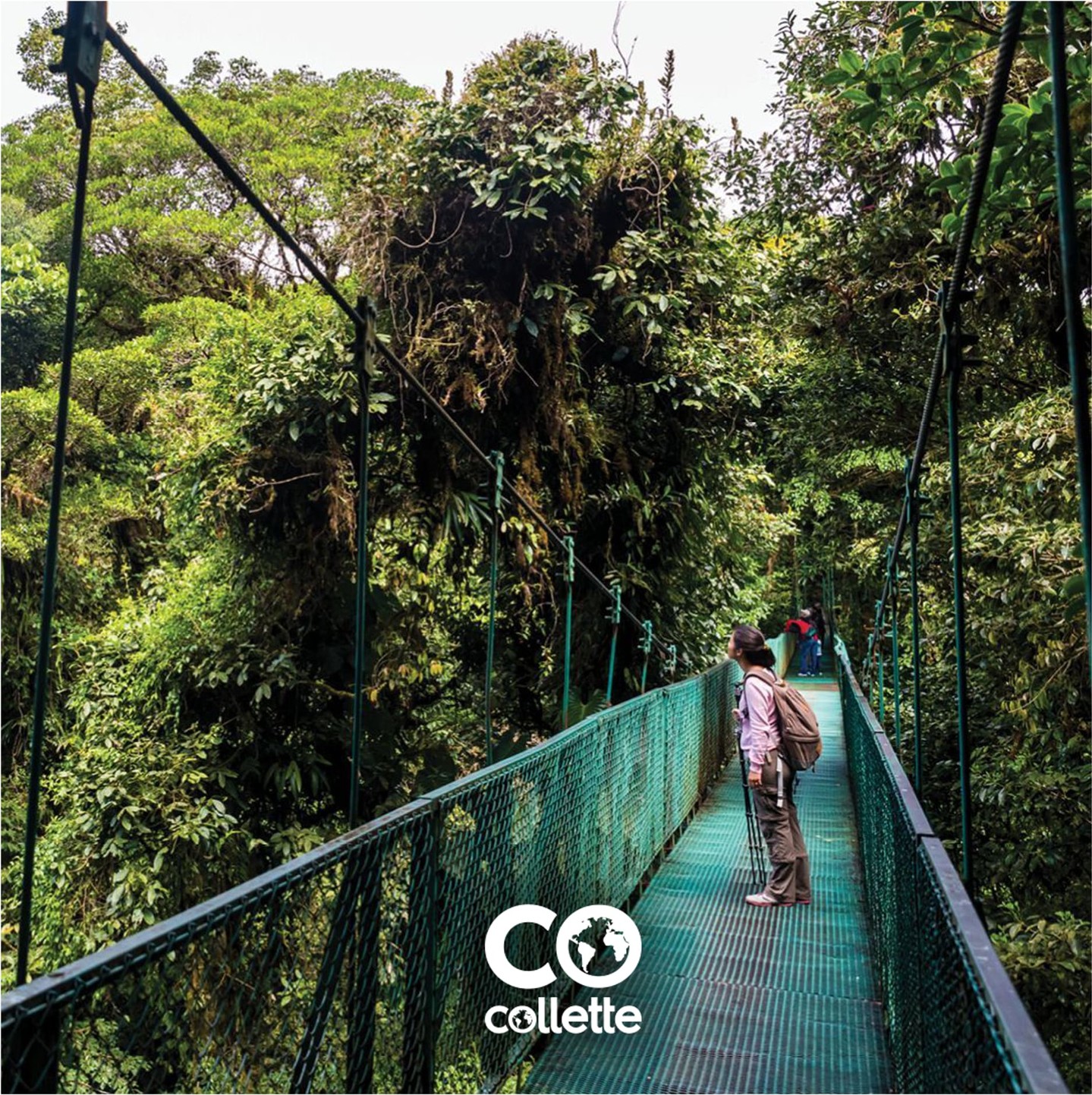 In Costa Rica, ecotourism is BIG. With conservation at its heart, one place you feel it in the air (as you walk across bridges suspended over the rainforest) is in the Monteverde Cloud Forest Biological Preserve.
Connect with the natural world – and contribute to its protection – while exploring this important ecosystem on Tropical Costa Rica, a fantastic guided tour offered by Collette.
Contact me at (800) 526-1412 or vacations@worldtravelservice.com to learn more!