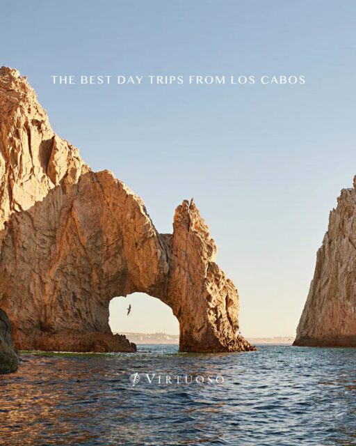 From waterfalls in the Sierra de la Laguna to whale encounters, coral reefs, and Baja’s pueblos mágicos, Los Cabos is a gateway to some of Mexico’s most striking landscapes. 🌊☀️

Let's connect to craft customized day trips that bring the desert, mountains, and sea to life:
(800) 526-1412
vacations@worldtravelservice.com

#VirtuosoTravel