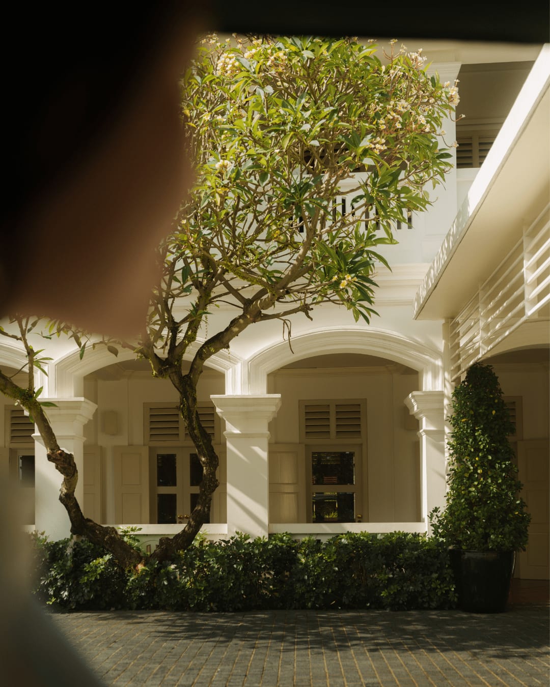 The Tanah Merah building at Capella Singapore, dating back to the 1880s, once served as a British artillery barracks. Today, it stands as a graceful reminder of the estate’s rich heritage, seamlessly blending history with bespoke luxury.

#CapellaHotels #CapellaSingapore