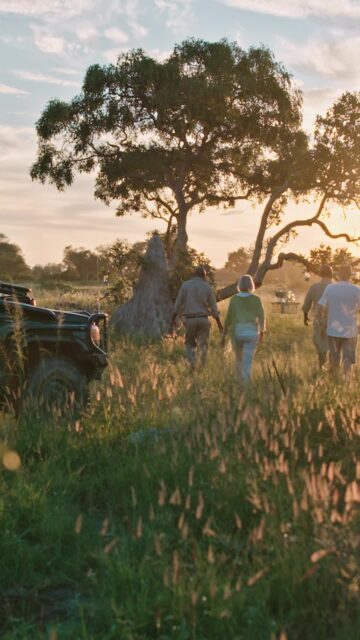 This fly-in safari gives you more time where it matters most - on the ground, in the wild, with nature all around you. From the wildlife-rich floodplains of the Okavango Delta to the dreamlike waterways of Chobe, this itinerary lets Botswana’s magic unfold naturally.

Using our offers with andBeyond, you can save over $9,000 when staying 7-nights or more in Botswana.

Get in touch to plan your next luxury safari experience - vacations@worldtravelservice.com.

#andbeyondtravel #botswana #luxurytravel #safari #okavangodelta #seewhatliesbeyond #virtuosotravel #sovirtuoso