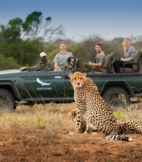 Discover nature’s finest at Phinda Private Game Reserve in KwaZulu-Natal. With seven distinct habitats and home to the Big Five plus rare black rhino and cheetah, it offers an unmatched wildlife experience. Add in luxurious lodges and meaningful conservation work and you’ve got safari at its most compelling.

#SouthAfrica #safari #VirtuosoTravel #andBeyondTravel #seewhatliesbeyond #luxurytravel