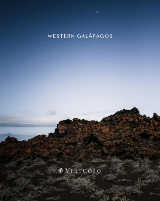 Explore the western Galápagos on an eight day journey filled with hikes, zodiac landings, lagoon crossings, and wildlife encounters across Santa Cruz, Isabela, Fernandina, Rábida, and North Seymour. Aqua Mare elevates the expedition with gourmet dining, thoughtful service, and an intimate superyacht setting. 🐢🏝️

Let's work together to plan your Galápagos getaway:
(800) 526-1412
vacations@worldtravelservice.com

#VirtuosoTravel