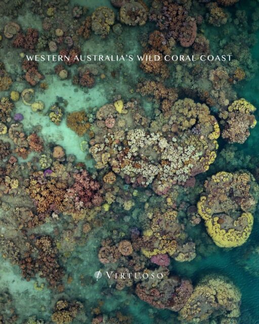 Explore Western Australia’s wild coral coast on an intimate small-ship expedition. From the Dampier Archipelago’s ancient petroglyphs to Ningaloo’s reef sanctuaries and the remote Abrolhos Islands, each day reveals rare wildlife, rich marine life, and cultural heritage led by expert guides. 🇦🇺🪸🏝️
Reach out to plan your next getaway:
(800) 526-1412
vacations@worldtravelservice.com
#VirtuosoTravel
