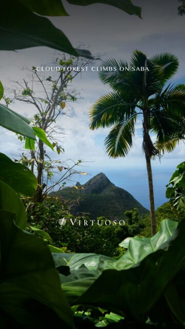 Trade beach days for cloud-forest climbs on Saba, the five-square-mile Caribbean island where Mount Scenery reigns and jungle trails lead to forgotten ruins and sweeping sea views. 🌿🌴

Reach out to plan your island getaway:
(800) 526-1412
vacations@worldtravelservice.com

#VirtuosoTravel