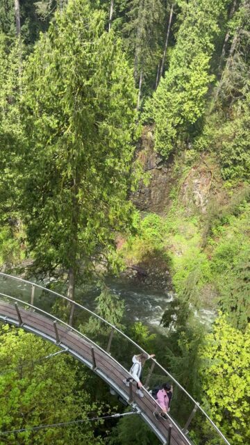 Looking for a destination that truly has it all? Vancouver delivers.

Mountain views, waterfront paths, vibrant neighborhoods, and exceptional dining come together effortlessly. Outdoor adventure and urban sophistication exist side by side in this city immersed in nature.

Explore Vancouver your way. Call (800) 526-1412.

#ExploreCanada #VirtuosoTravel #LuxuryTravel #Canada #Vancouver