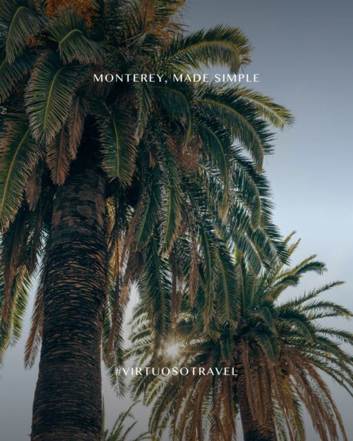 From solar-powered cliffside inns to sea-to-table dining and Audubon-certified fairways, Monterey County makes mindful travel feel effortless. 🏝️✨

Let's connect to plan your next getaway:
(800) 526-1412
vacations@worldtravelservice.com

#VirtuosoTravel