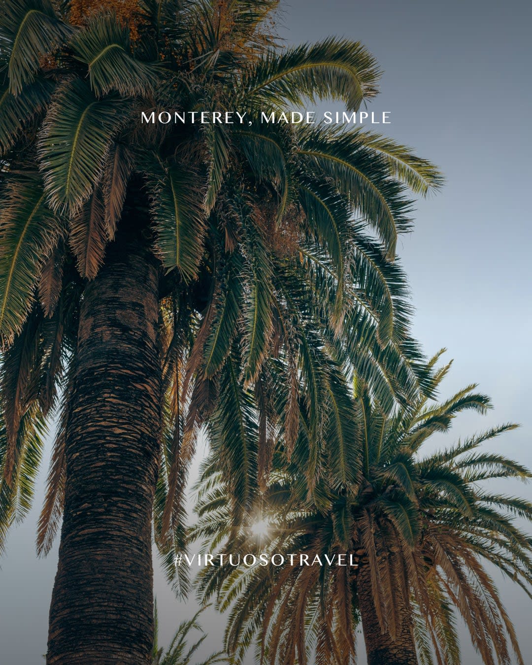 From solar-powered cliffside inns to sea-to-table dining and Audubon-certified fairways, Monterey County makes mindful travel feel effortless. 🏝️✨

Let's connect to plan your next getaway:
(800) 526-1412
vacations@worldtravelservice.com

#VirtuosoTravel