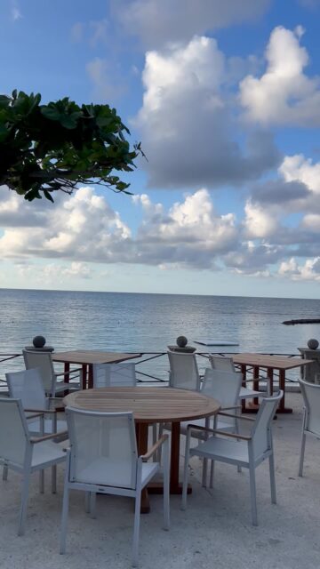 From the first catch of the day to the final toast under the moon: experience the heights of island elegance. We have a table waiting for you on the Round Hill Seaside Terrace.