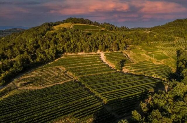 Croatia's Istrian Peninsula: Where to Eat, Drink, and Wander
https://worldtravelservice.com/2026/05/long-weekend-in-istria/