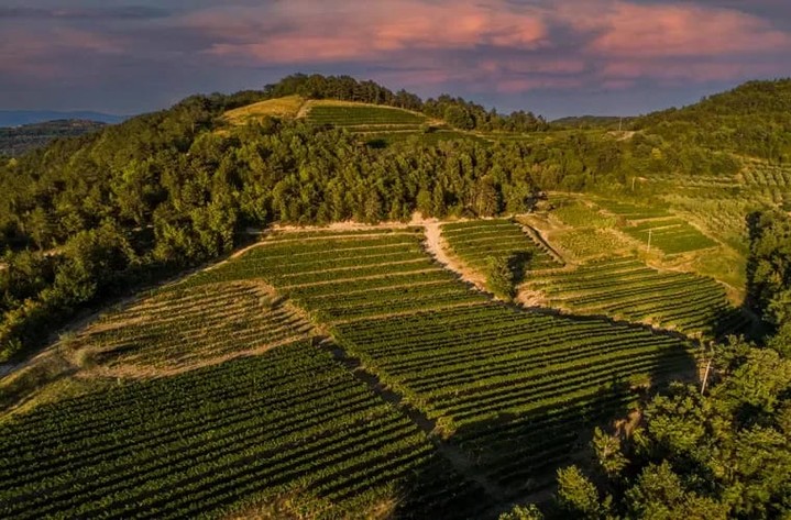 Croatia's Istrian Peninsula: Where to Eat, Drink, and Wander
https://worldtravelservice.com/2026/05/long-weekend-in-istria/