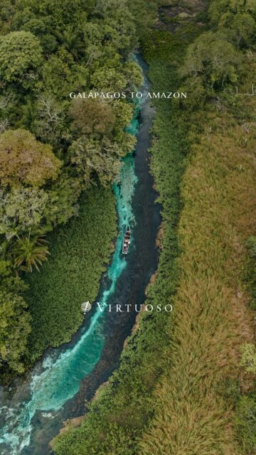 Where lava meets ocean and rainforest meets river, this journey traces the wild heart of South America. From the fearless creatures of the Galápagos to the nocturnal rhythms of the Amazon, each day reveals another chapter of evolution, culture, and wonder. 🌎🐾🦜
Your next adventure starts here. Contact now:
(800) 526-1412
vacations@worldtravelservice.com
#VirtuosoTravel