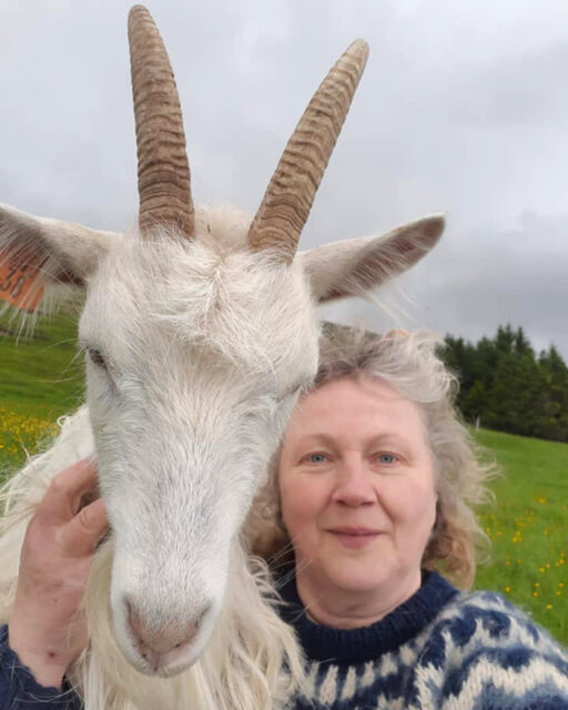 Whale watching, hot springs, glaciers, and goat selfies…

Just a typical week on Collette's small group Explorations tour, Best of Iceland.

Contact me today for more details about Collette's small group tours.