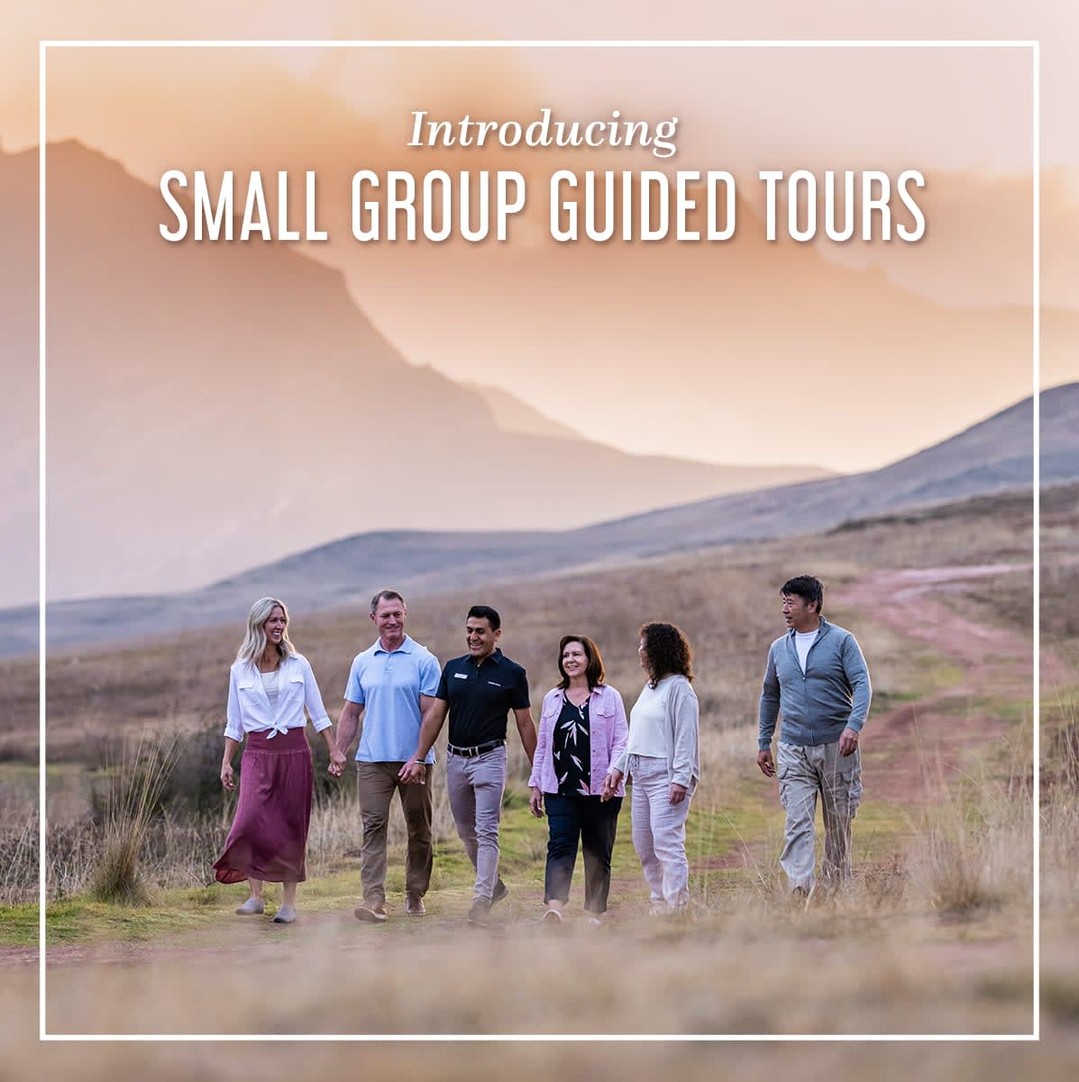 We're excited to expand our partnership with our sister brand, Luxury Gold, to bring you Small Group Guided Tours!

Travel beyond the riverbanks, taking the hallmarks of an exceptionally curated Uniworld vacation wherever you go—exquisite dining, beautiful accommodations, personalized service, and privileged access to exceptional local experiences.