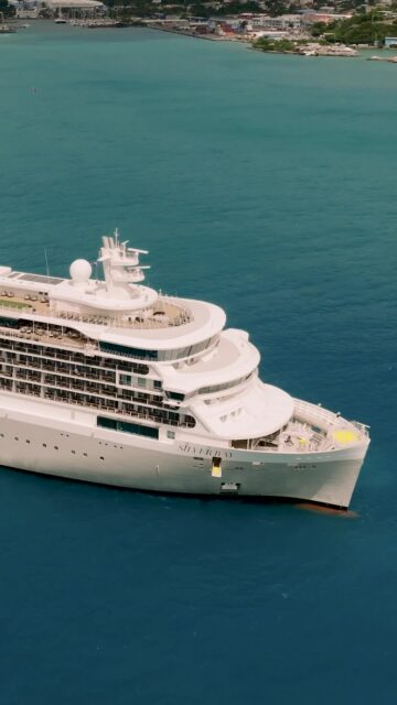 Caribbean rays and Silver Ray — there's no other way to spend the day.​