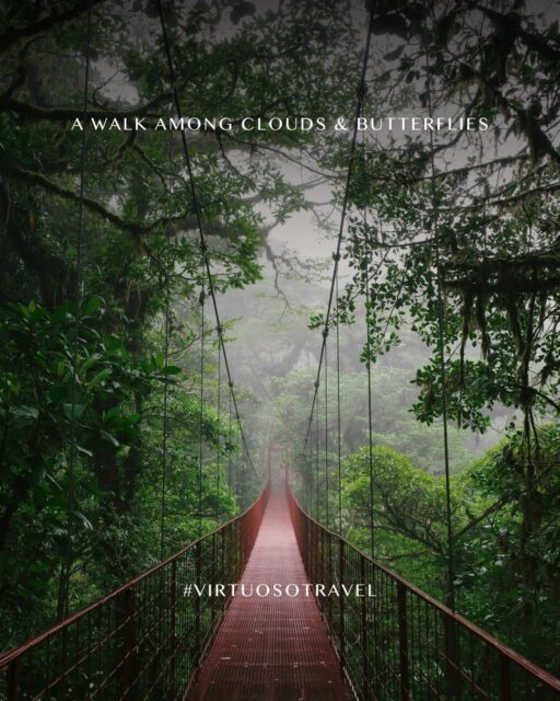 Step into Costa Rica’s Monteverde Cloud Forest, where hanging bridges, misty canopies, and vibrant butterfly gardens reveal the region’s remarkable biodiversity. ☁️🦋🌺
Get in touch to start designing your getaway:
(800) 526-1412
vacations@worldtravelservice.com
#VirtuosoTravel