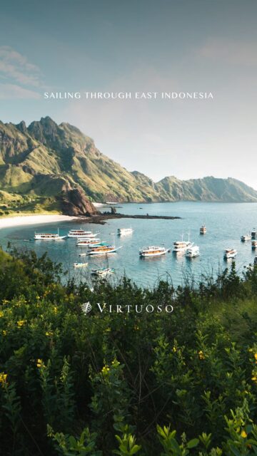 Sailing through East Indonesia reveals a wild world of whale sharks, Komodo dragons, coral reefs, and jungle islands best reached by yacht. 🦎🛥️🪸

Reach out for a personalized escape to Indonesia:
(800) 526-1412
 vacations@worldtravelservice.com

#VirtuosoTravel