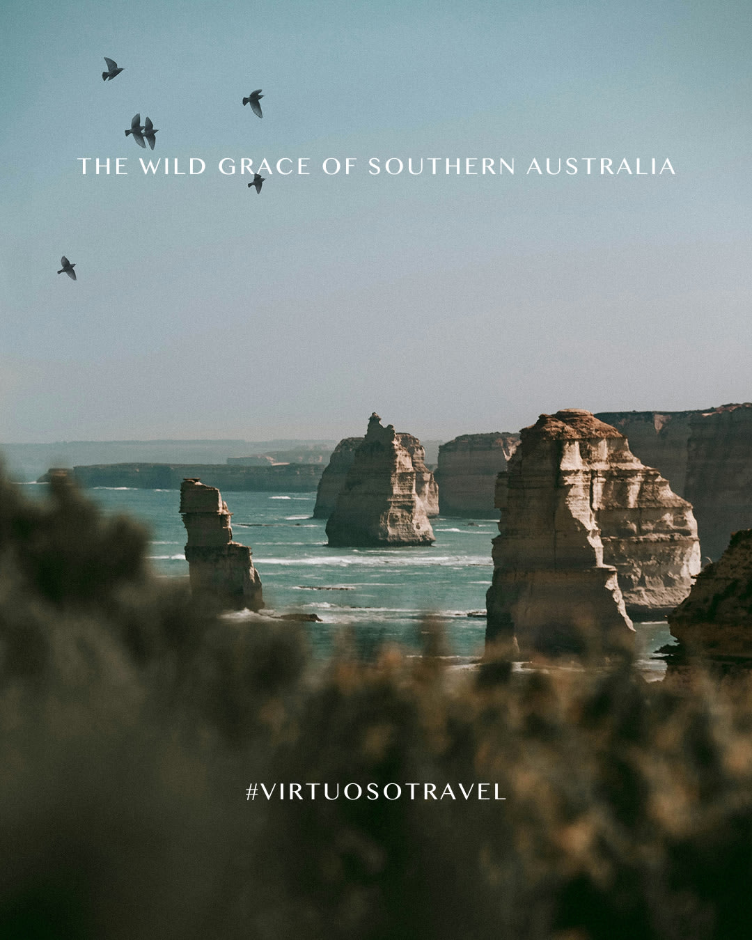 Australia’s spirited south reveals a journey of contrasts, from Perth’s sunny shores and Margaret River’s vineyards to Melbourne’s coastal drives and Tasmania’s wild beauty. 🌊☀️
Connect today and bring your travel dreams to life:
(800) 526-1412
vacations@worldtravelservice.com
#VirtuosoTravel