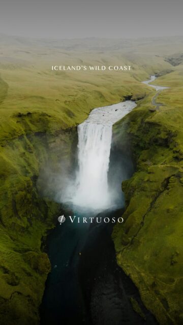 Sailing around Iceland reveals a landscape shaped by glaciers, volcanoes, and thousands of waterfalls, where puffins gather on coastal cliffs and fjords lead to quiet fishing villages beneath the midnight sun. 🧭🐧🏔️

Connect today to begin your getaway to Iceland:
(800) 526-1412
vacations@worldtravelservice.com

#VirtuosoTravel