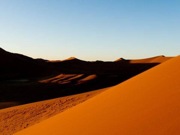 Go Ahead, Take That Dream Safari by Yourself