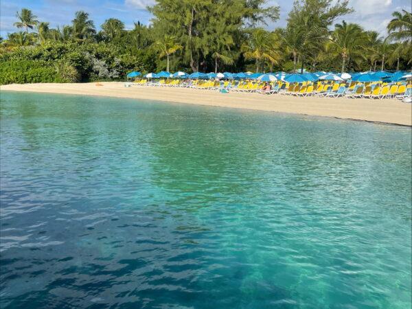 Perfect Day at CocoCay: How to Get the Most Out of Your Island Adventure