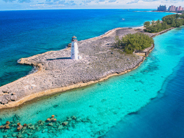 These Companies Led the Way in Sustainable Travel in 2025