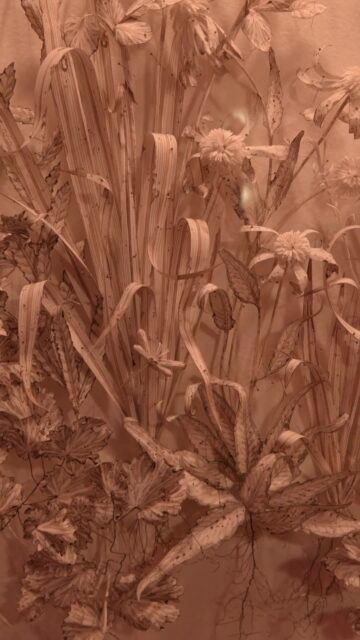 Composed of hand-shaped paper, wire, and pigment, Colleen Southwell’s botanical piece is part of the permanent art collection of The Fifth. “I was intrigued by the intention and philosophy of The Fifth,” she shares. “The luxury of a place to pause and savour, the pleasures of wandering and discovery. These concepts felt so familiar.”