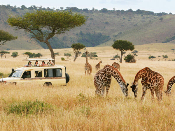 Safari’s Quiet Season Delivers a One-of-a-Kind Experience